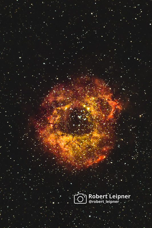 Der Rosettennebel NGC 2238 strahlt am Nachthimmel