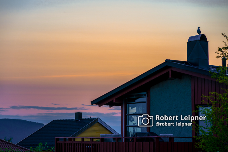 Sonnenuntergang über den Dächern von Trondheim