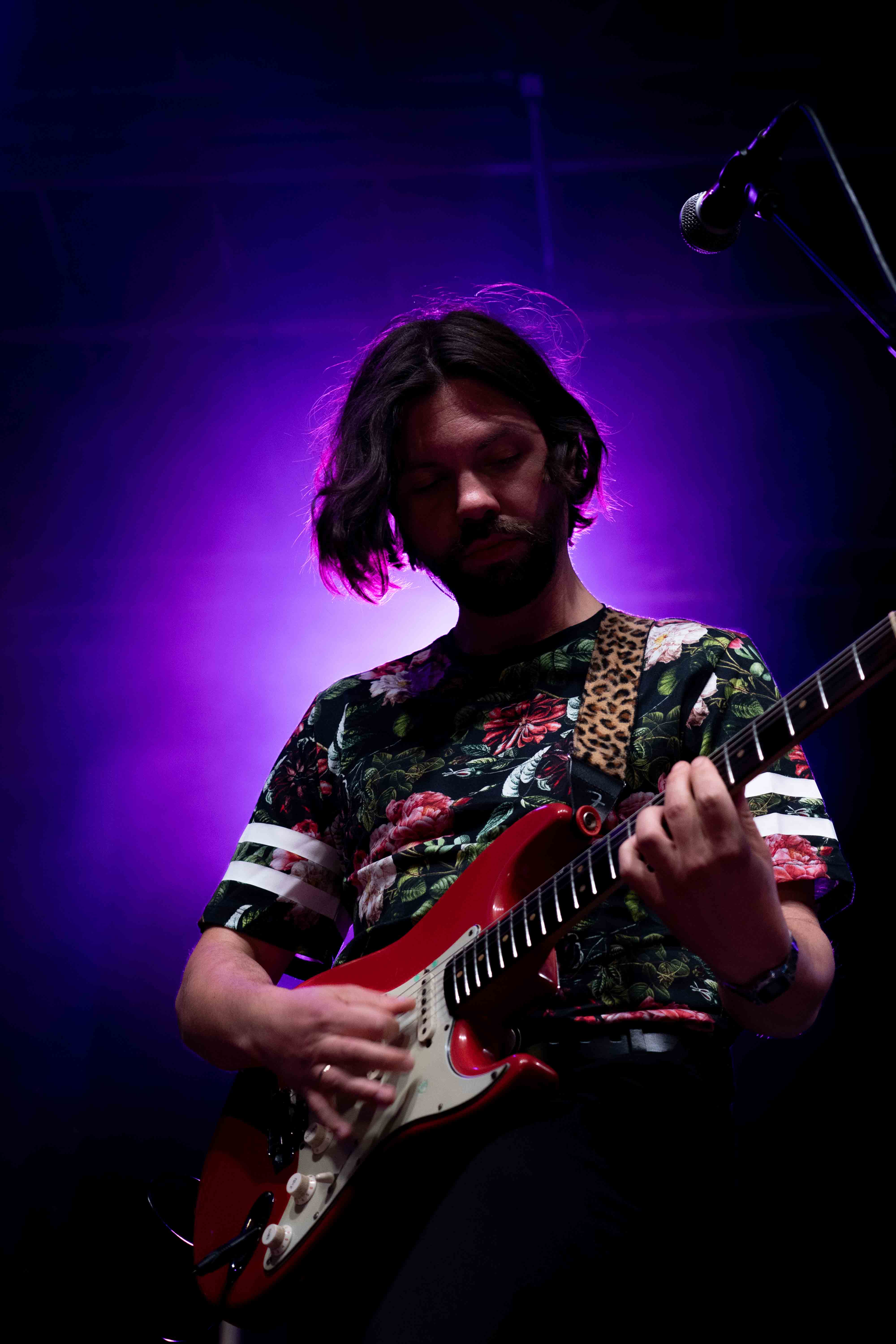 Gitarrist beim Konzert im Batschkapp in Frankfurt/Main
