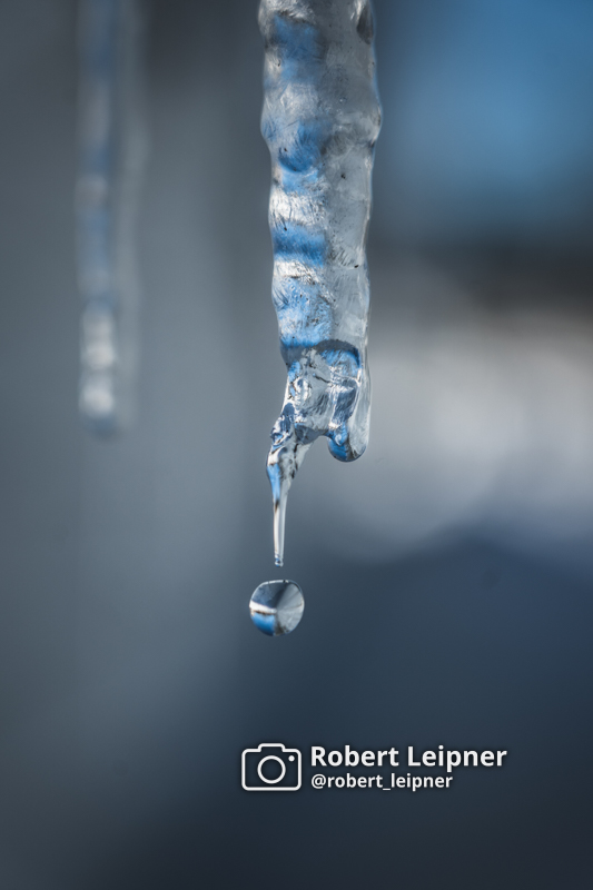 Tropfen an einem Eiszapfen im Früjahr in Trondheim, Norwegen